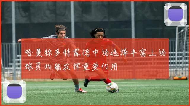 哈曼称多特蒙德中场选择丰富上场球员均能发挥重要作用