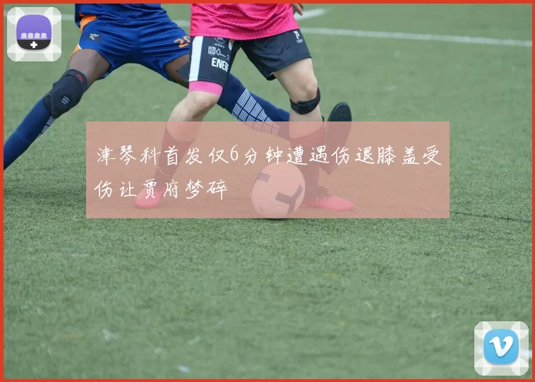 津琴科首发仅6分钟遭遇伤退膝盖受伤让贾府梦碎